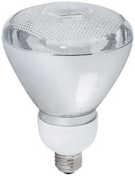 Wp23w Br38out Fld Light