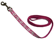 3/8x4 Pnk Flaming Leash