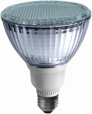 Wp 15w Fp30 Fld Bulb