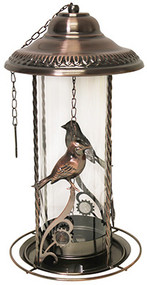 Song Bird Feeder