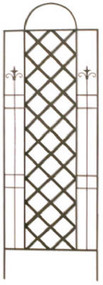 78x24 Blk Cott Trellis