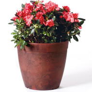 10" Teak Rnd Planter