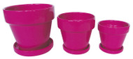 5.5" Pnk Std Pot/saucer