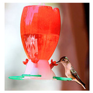 Prefilled Humm Feeder