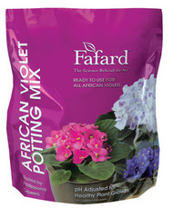 8qt African Violet Mix