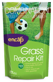 350sqft S Grass Repair