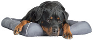 Med Cool Gel Pet Bed