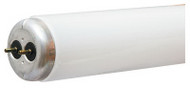 Wp 48" 34w Cw Fluo Tube