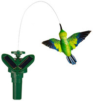 Solar Flut Hummingbird