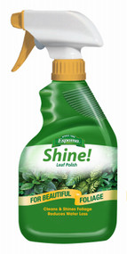 12oz Shine Plant Polish