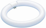 22w Cw Fluo Ring Bulb