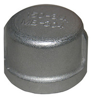 3/4" Ss Pipe Cap