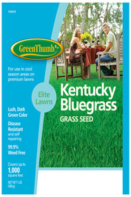 Gt Lb Bluegrass Seed