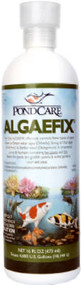 16oz Algaefix