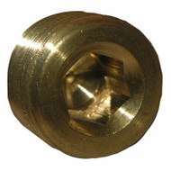 1/4" Countersunk Plug