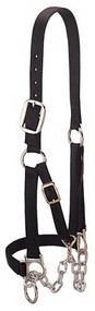 Med Blk Heifer Halter