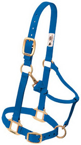 1" Lg Blu Snap Halter