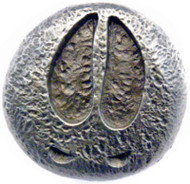 Pewter Moose Track Knob
