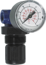 Mini Regulator/gauge