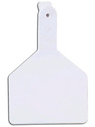 25pk 1pc Wht Cow Z Tag