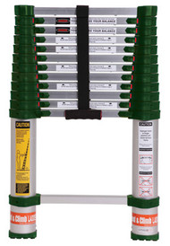 2.5-12.5 Ext Alu Ladder