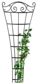 84x27 Blk Rom Trellis