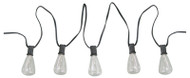 Fs Edison Bulb Lgt Set