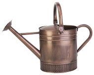 Gal Brsh Cop Wtr Can