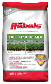 20lb Rebel Fescue Seed