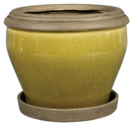 6" Grn Esplande Planter