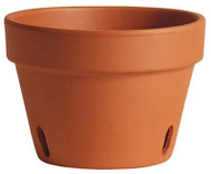 6.7" Tc Orchid Pot