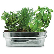 Herb Windowsill Kit