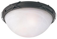 2lgt Ceiling Fixture
