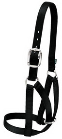 1"blk Cow Barn Halter