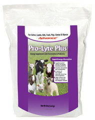 Prolyte 8lb Supplement