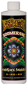 Pt Boomerang