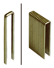 1k 1.5x1/4 18ga Staple