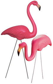 Pr Pnk Feather Flamingo
