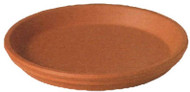 11-1/2" Nat Tc Saucer