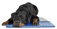 Gel Cell Pet Cool Pad
