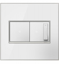 2g Wht Mirr Wall Plate