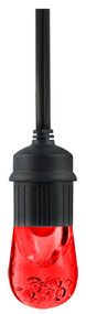 6pk Red Cafe Lgt Bulb