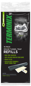 Term 10pk Glue Board