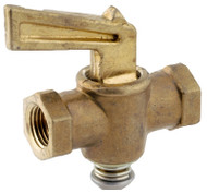 1/4" Fpt Pt Valve