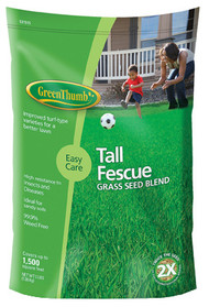 Gt3lb Tall Fescue Seed