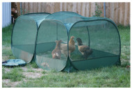Port Chicken Enclosure