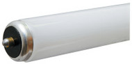 Ge8' T8 Spp35 Fluo Bulb