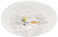 8" Saucer Plus