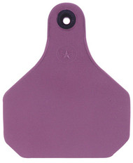 20pk Python Insect Tag