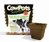 12pk 4" Sq Cow Pot